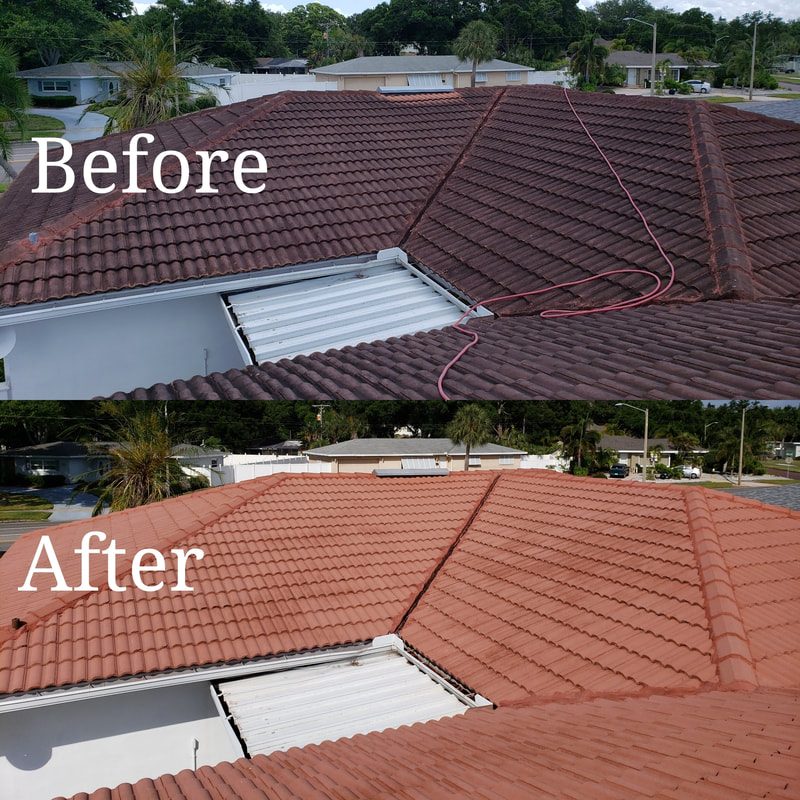 Tile roof before and after soft wash cleaning